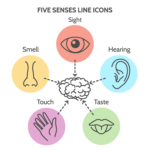 Use Your Five Human Senses For CPA Exam Success