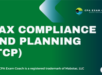 Tax Compliance and Planning 2025-09